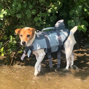 Meet your Posher, Lory-ann